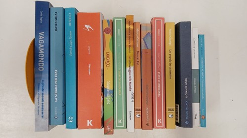 Libri viaggio diari di - libri,